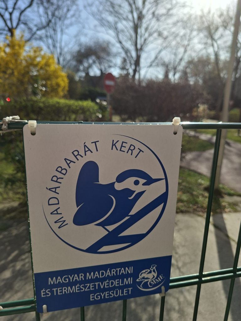 Katica Bölcsőde – bölcsődei életkép