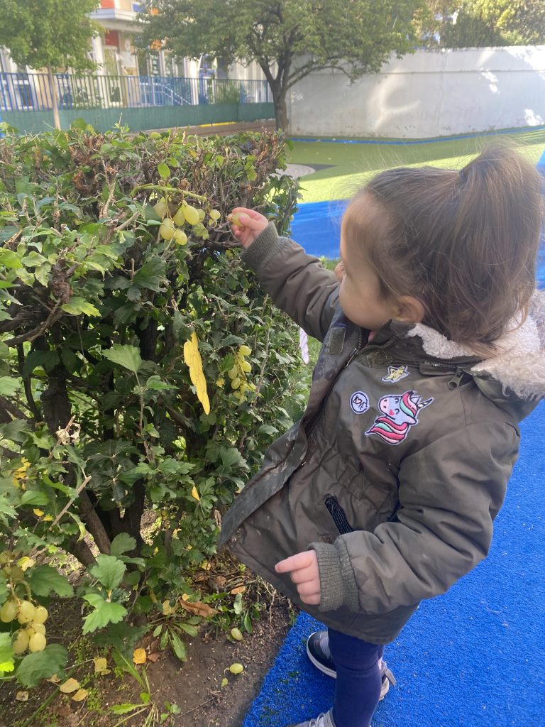 Mini-Manó Bölcsőde – bölcsődei életkép